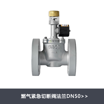 DN50