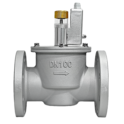 DN100Ͻ